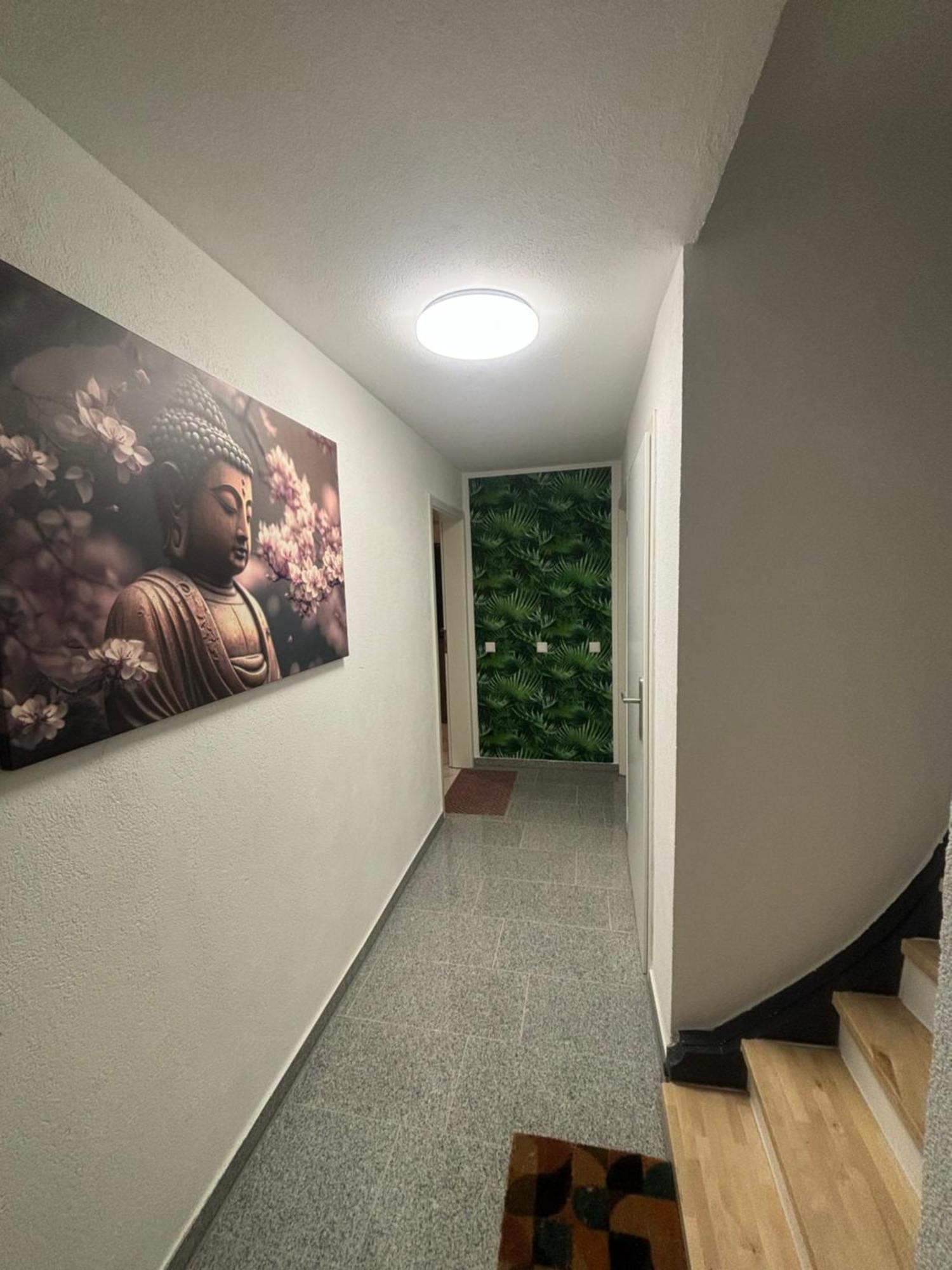 Safran Apartments Gunzburg المظهر الخارجي الصورة